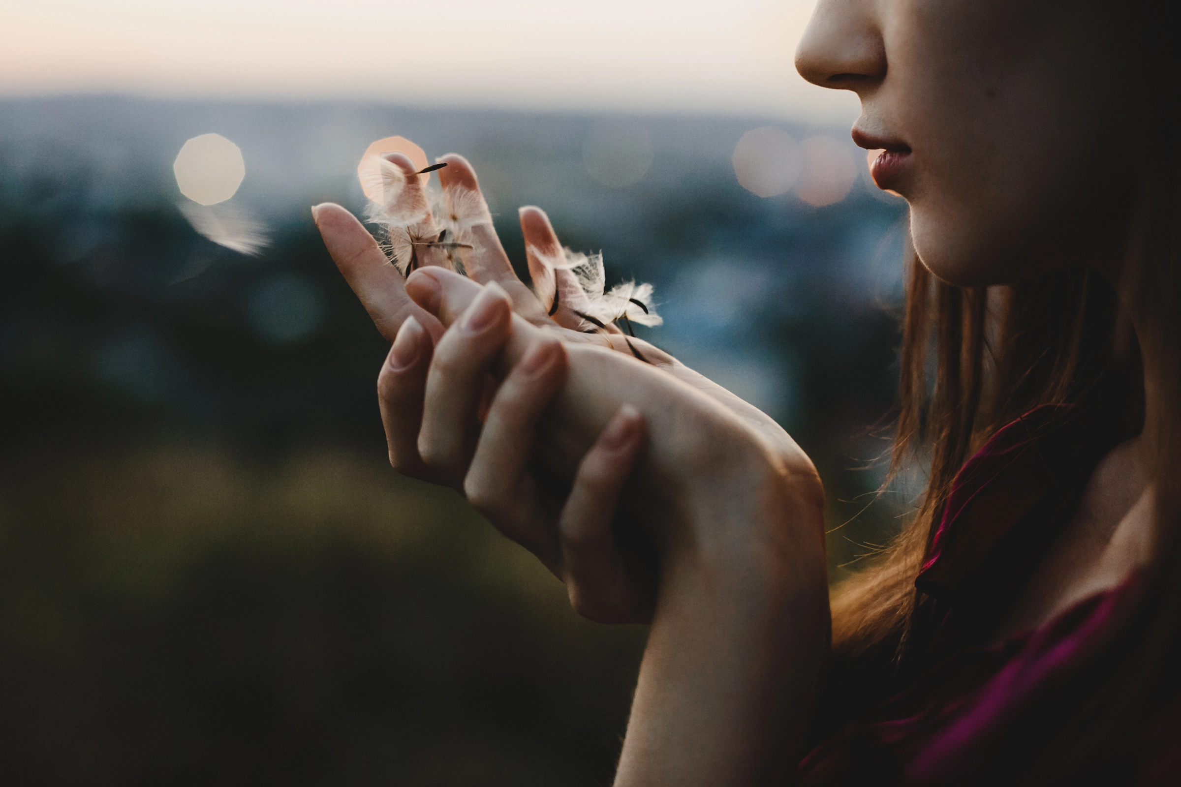 Connecting with Spirit Guides in Nature: Open to Guidance, Healing, and Wisdom