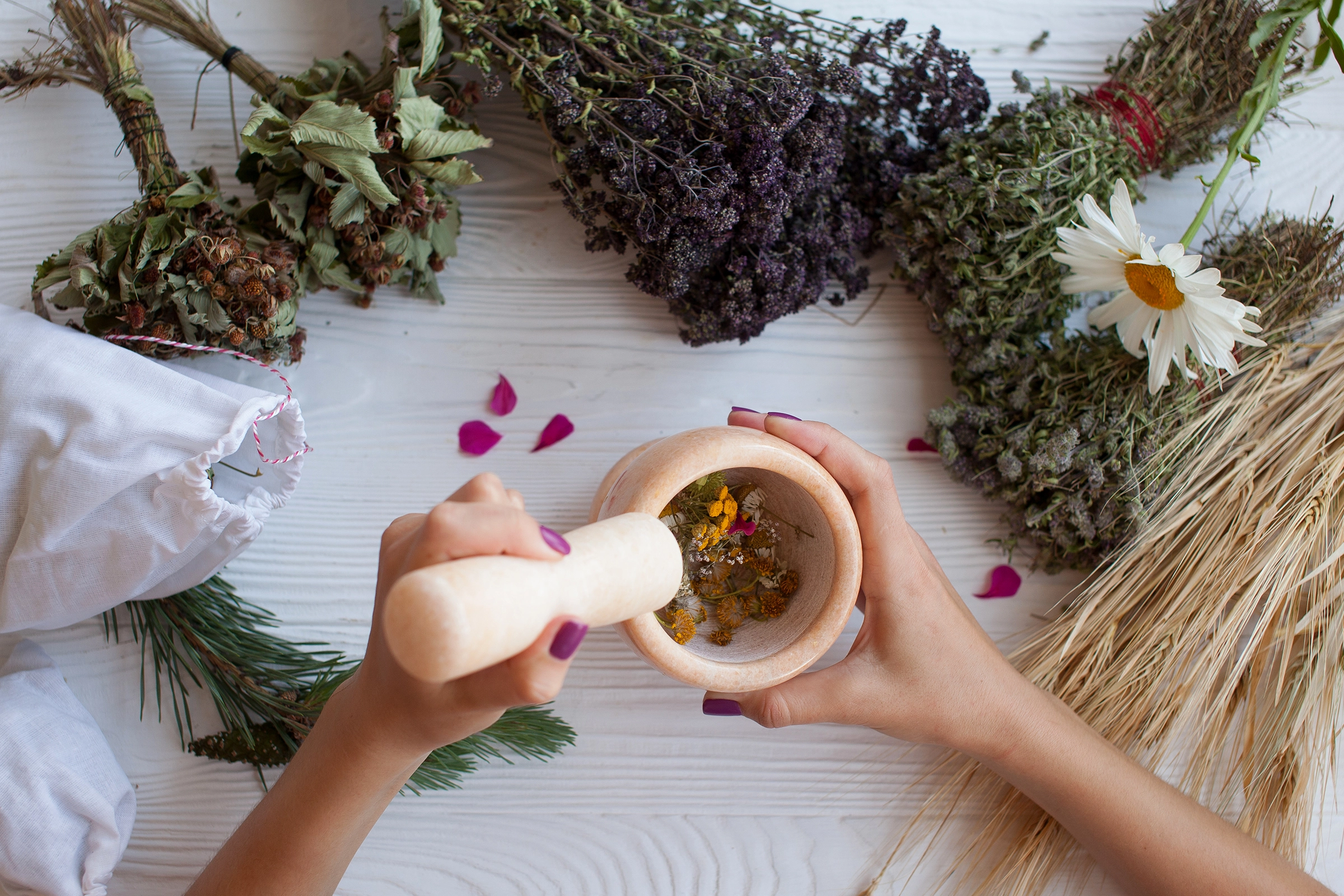 Herbal Wisdom: Plants for Healing and Ritual in Everyday Life