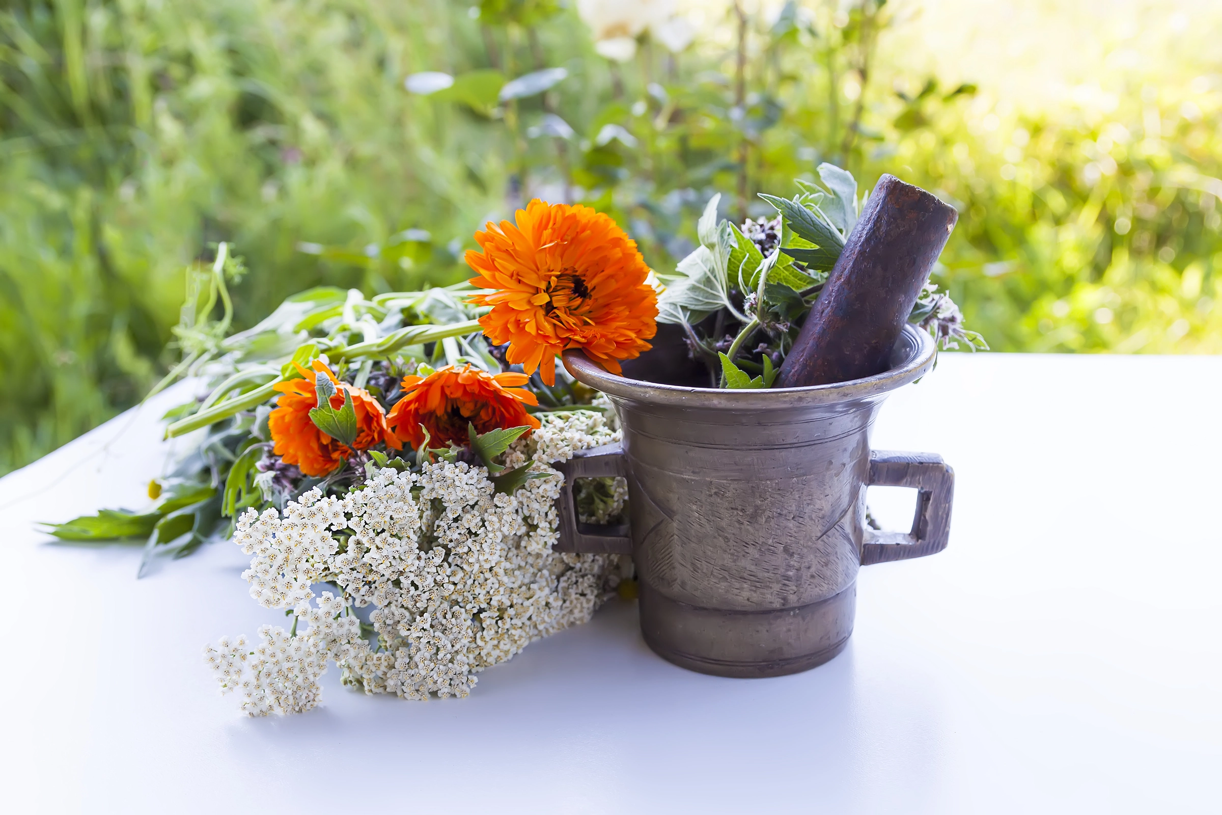 Sacred Plants for Springtime Rituals: Embrace Renewal and Spiritual Growth