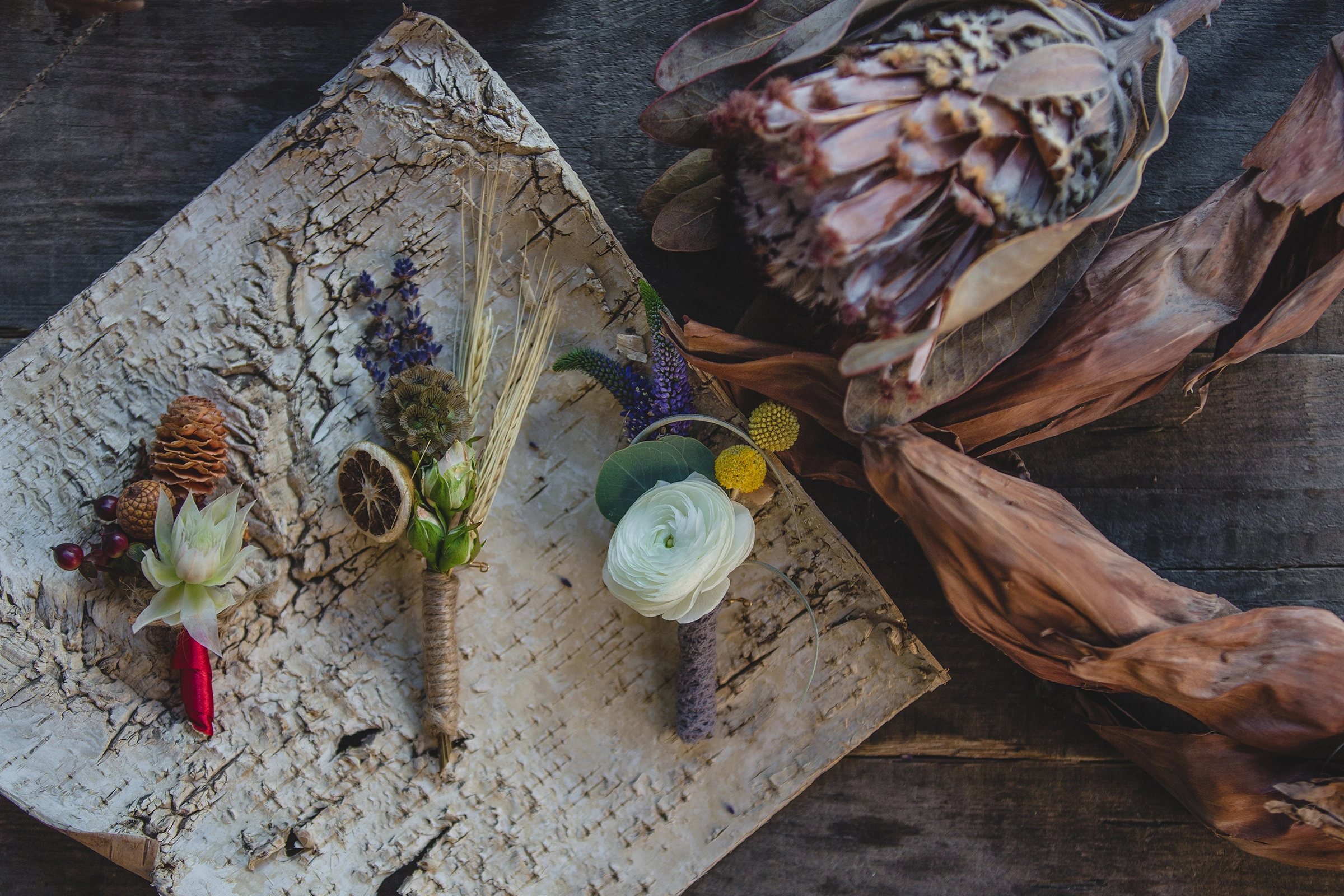 Spring Equinox: Rituals for Renewal and Growth